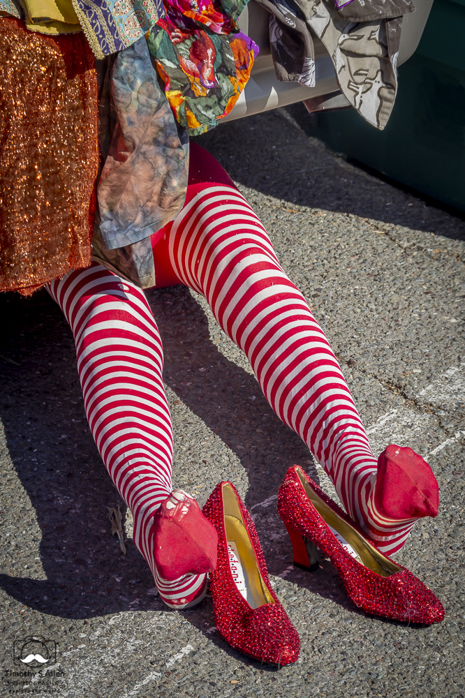 and Dorothy's Ruby Slippers from the Oz books Santa Rosa Flea Market Santa Rosa, CA, U.S.A. October 5, 2014